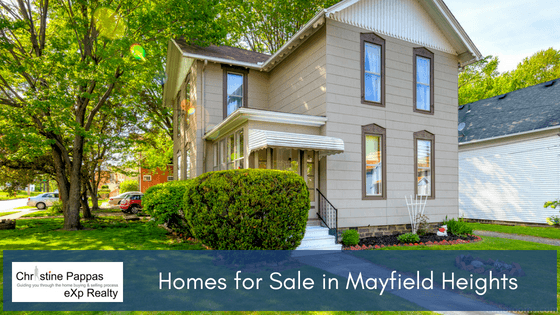Homes for Sale in Mayfield Heights