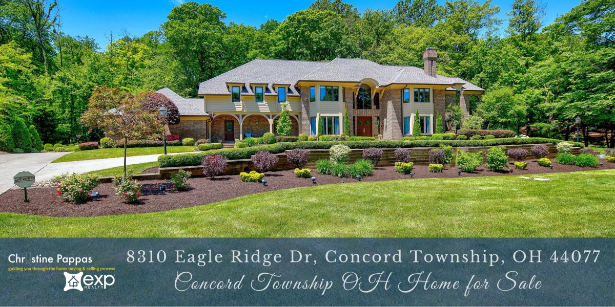 Homes in Concord Township OH